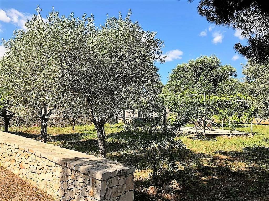 Le Stanze Di Casa Polinisso Guest House Carovigno Exterior photo