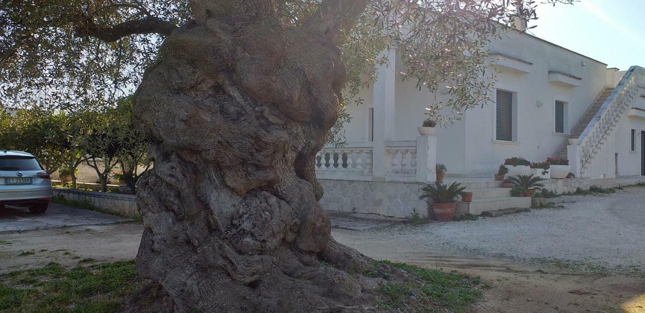 Le Stanze Di Casa Polinisso Guest House Carovigno Exterior photo